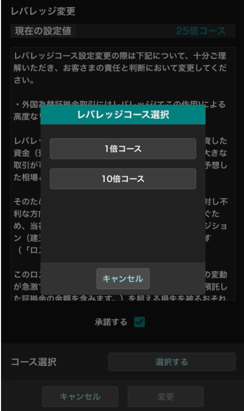 レバレッジ倍率設定
