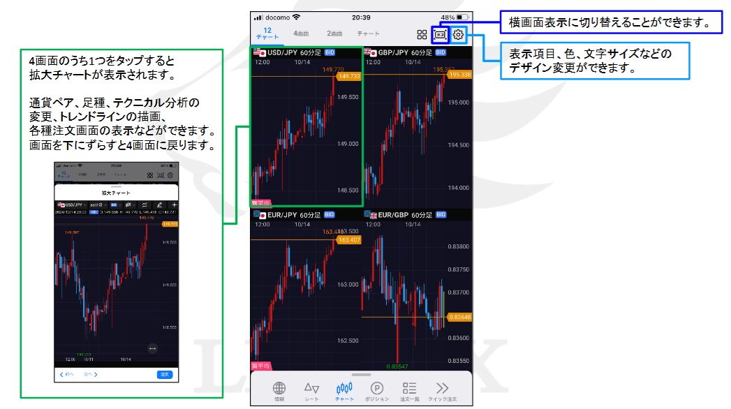 LIONテクニカル表示